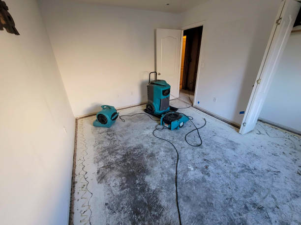 Best Flood damage cleanup  in Fayetteville, AL
